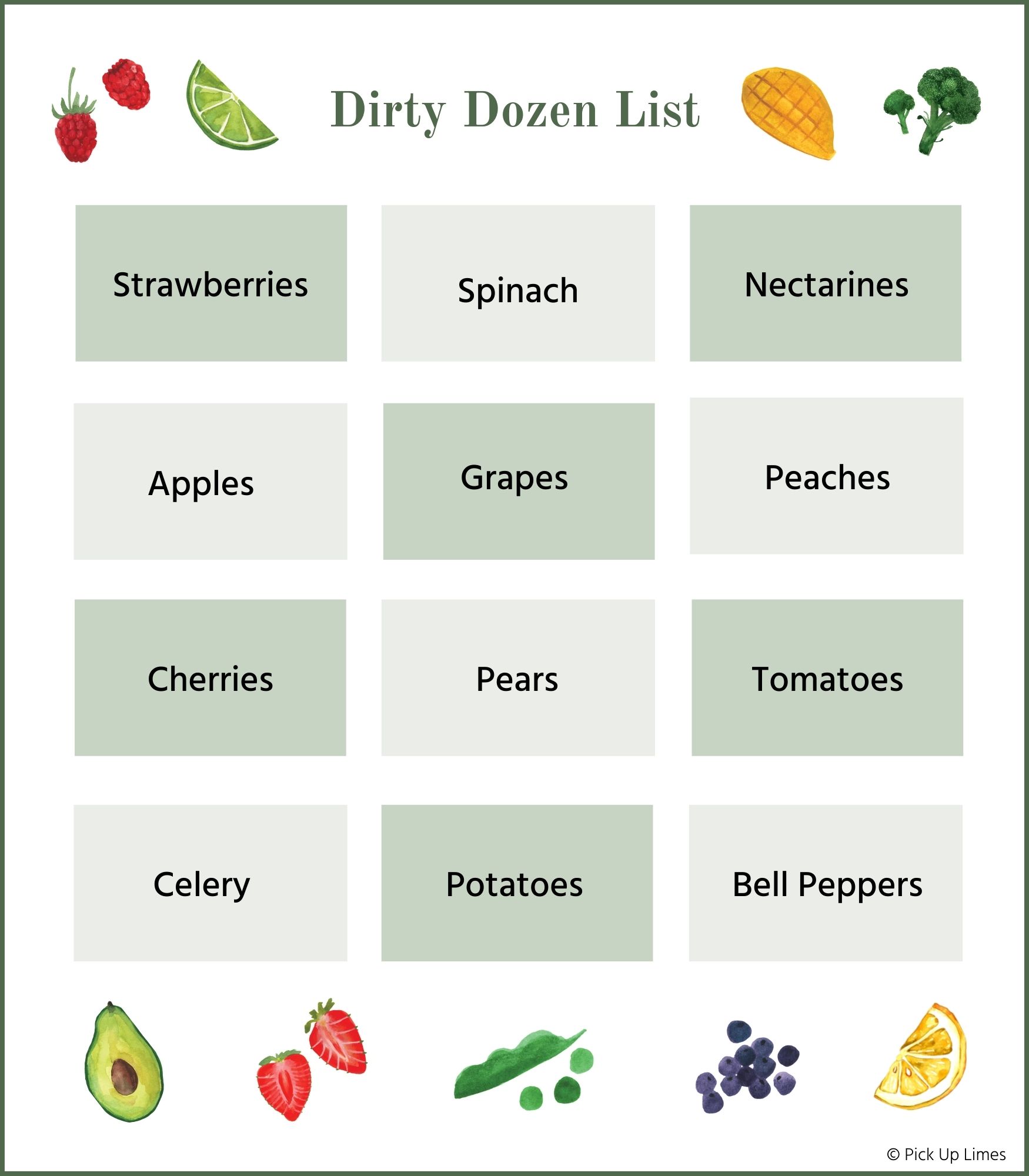 dirty dozen list